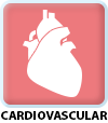 Cardiovascular