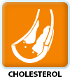 Cholesterol